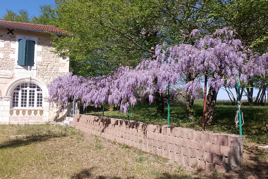 House with garden for sale